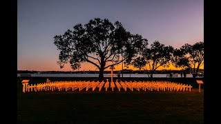 Devonport Field of Remembrance laying out the crosses for Anzac Day 2024 [upl. by Klement]