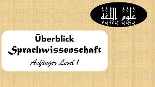 Übersicht Anfängerlevel Sprachwissenschaft [upl. by Schoenberg]