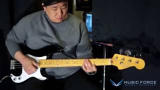 MusicForce Fender Japan Classic Basses Demo [upl. by Laurens]