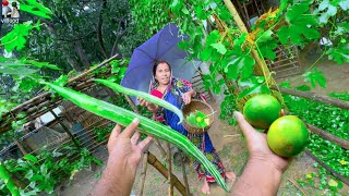 villfood Garden review  বর্ষায় ভিজে আমাদের বাগানের শাকসবজি তুলে রান্না [upl. by Adnam]