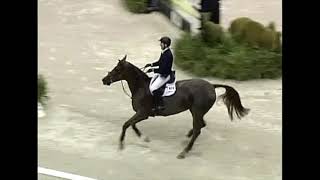 WIHS Top 10 Jump Offs McLain Ward amp Sapphire [upl. by Ahselat]