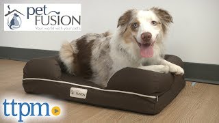 Ultimate Pet Lounge from PetFusion [upl. by Hogue]