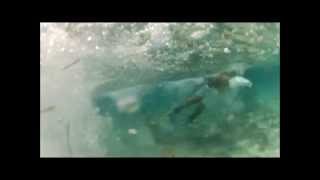 Shark Attacks Freedivers in Bimini [upl. by Cawley272]