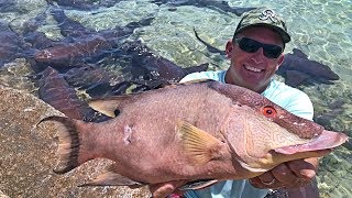 Cave Diving Hogfish Grouper Dolphin spearfishing Staniel Cay Exhumas The Bahamas [upl. by Rimahs880]