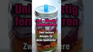 Günstig fermentieren rezept günstig [upl. by Eiddam]