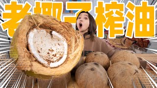 砸烂10颗邦邦硬的老椰子！挖肉榨椰子油！ Coconut oil extraction [upl. by Terej]