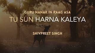 Tu Sun Harna Kaleya  Shivpreet Singh [upl. by Aicilra903]