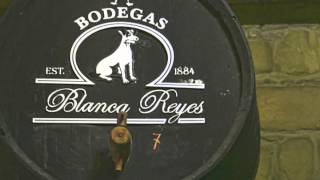 VIDEO BODEGA JEREZANA BLANCA REYES [upl. by Gintz383]