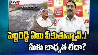 పెద్దిరెడ్డి ఏమి పీకుతున్నావ్ TDP Leader Kalava Srinivasulu Strong Warning To Peddireddy  TV5 [upl. by Ehtiaf103]