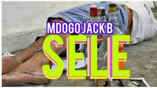 Mdogo Jack B  Sele Official Audio [upl. by Jsandye207]