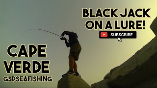 Sea Fishing  Lure Fishing in Cape Verde  Catching a Black Jack [upl. by Hemetaf]