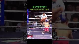 한국에서 열린 파퀴아오의 스페셜매치feat DKYOO mma boxing dkyoo [upl. by Cirdec]