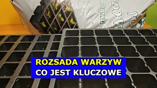 Co jest KLUCZOWE do Produkcji Dobrej Rozsady Warzyw Rozsada Ogórków Pomidorów Selera Pora Cebuli [upl. by Nimesh]