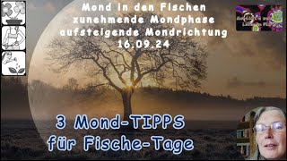 3 MondTIPPs für Fische Tage [upl. by Babs]