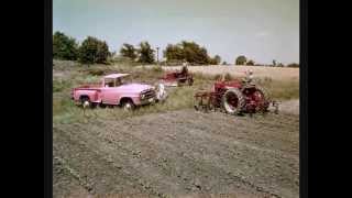 FARMING IN THE 1950S AND 60S WITH IH [upl. by Hedvig]