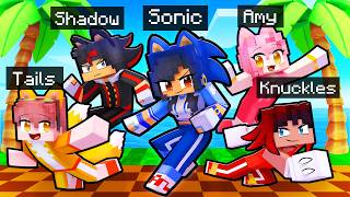 10 Friends on one SONIC BLOCK [upl. by Cis]