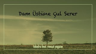 Taladro  Dam Üstüne Çul Serer  ft Mesut Yegane [upl. by Limbert754]