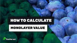 BET Equation  Moisture Sorption Isotherm Modelling  How to calculate Monolayer value [upl. by Nnylesor196]