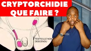 Cryptorchidietesticules en dehors des boursesCest lune des causes de linfertilité chez lhomme [upl. by Leuams]