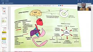 hepatic encephalopathy [upl. by Ahsurej756]