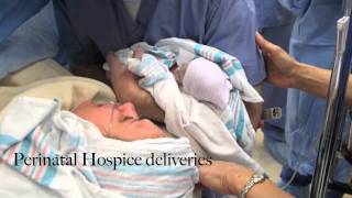 Perinatal Hospice Video [upl. by Stutman262]