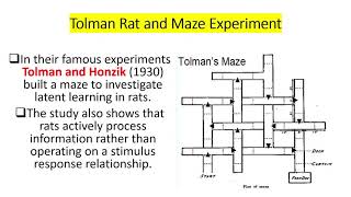 Tolman’s Theory of Learning Sign Learning  Latent Learning Maze and Rats Experiment  with MCQs [upl. by Boris]