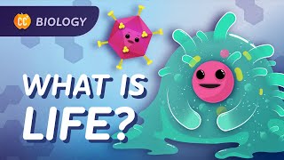 Introduction to Biology Crash Course Biology 1 [upl. by Huckaby993]