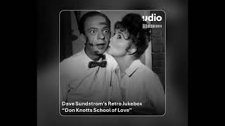 Retro Jukebox  Don Knotts School of Love 80s Folk Rock [upl. by Ecirrehs]