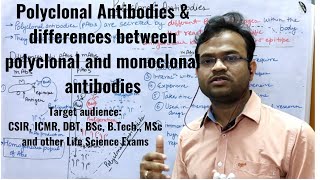 Polyclonal antibodies amp Difference between Polyclonal and Monoclonal Antibodies [upl. by Pietje150]