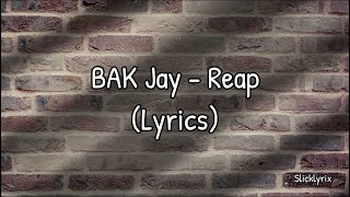 BAK Jay  Reap Lyrics [upl. by Epoillac]