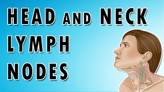 Lymph Nodes In The Neck  Occipital Auricular Cervical Submandibular and Submental nodes [upl. by Grof]