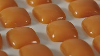 Caramels Recipe Demonstration  Joyofbakingcom [upl. by Enaile]