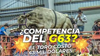 Este Toro Costó 43 Mil Dólares y Podría Quitarle el Trono al Toro G63 de Rancho El Aguaje 🐂💥 [upl. by Atirec936]