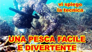 pesca con la FIOCINA FRANCESE in 2 METRI di acqua [upl. by Wylen]