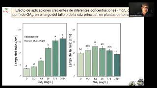 Uso de giberelinas [upl. by Ednargel333]