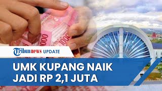 Catat UMK Kupang 2023 Naik Jadi Rp 21 Juta Perusahaan Diminta Taat Pengupahan Sesuai Aturan [upl. by Annabella861]