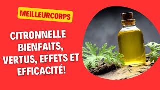 CITRONNELLE  BIENFAITS VERTUS EFFETS ET EFFICACITÉ [upl. by Arerrac]