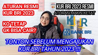 RESMI KUR BRI TAHUN 2023 INI DIA SYARAT DAN ATURAN TERBARUNYA [upl. by Ayimat214]