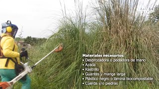 Tutorial Cómo eliminar Cortaderia mediante ocultación [upl. by Anilat318]