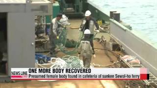 Divers find another body from sunken Sewolho ferry [upl. by Eninotna]