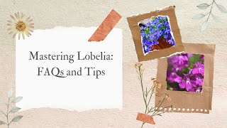 Mastering Lobelia FAQs and Tips [upl. by Hailee]