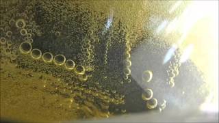 Ozone bubbling through olive oil 22 hours into 72 hours  close up [upl. by Seaman]