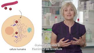 Fondamentalement appliqué  du labo aux patients avec Caroline Demangel [upl. by Elgna]