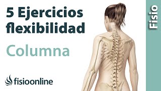 5 ejercicios para flexibilizar la columna entera [upl. by Llorrad]