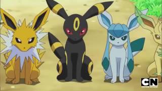 Eevee Evolutions  different possible evolutions fo Eevee  Elite pokemon [upl. by Mayhs999]