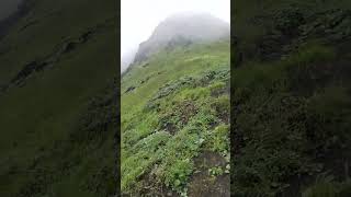 Machu Picchu versión humilde meme humor shorts [upl. by Atsocal195]