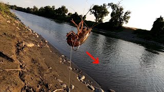 Sacramento river striper fishingBait fishing from the bankMy complete setup howto [upl. by Hgielyk]