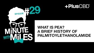 What is PEA A Brief History of Palmitoylethanolamide [upl. by Zetnauq225]