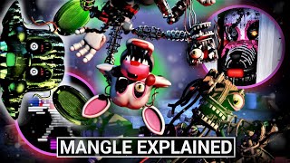 FNAF Animatronics Explained  MANGLE Five Nights at Freddys Facts [upl. by Aisatnaf]