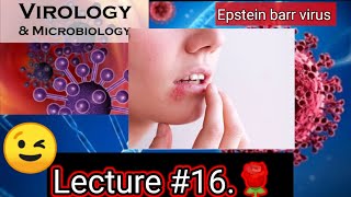 epstein barr virus microbiology epstein barr virus pathogenesis epstein barr virus VIROLOGY [upl. by Burnie164]